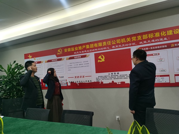 安徽鹽業(yè)地產(chǎn)集團機關第一黨支部開展“佩黨徽、誦誓詞、贈黨章、上黨課”黨員教育活動
