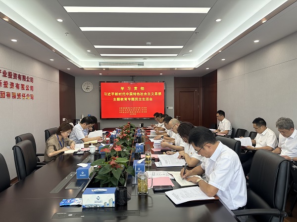 安徽鹽業(yè)地產(chǎn)集團(tuán)等三家公司黨委召開學(xué)習(xí)貫徹習(xí)近平新時(shí)代中國特色社會(huì)主義思想主題教育專題民主生活會(huì)